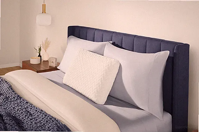 NEW TEMPUR-Cloud® Pillow