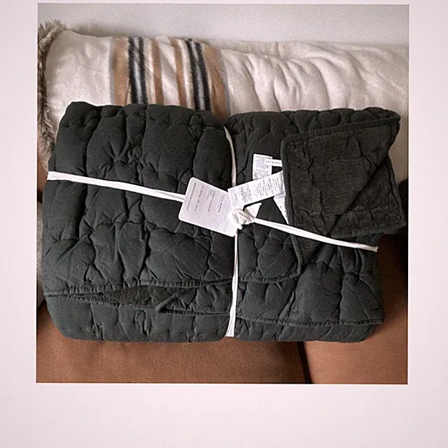 Pottery Barn Cozy Cloud Quilt Full/Queen Green Cotton Polyester Fill 92x88