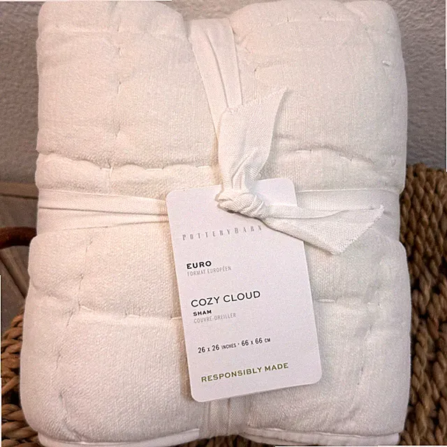 POTTERY BARN COZY CLOUD QUILTED PILLOW SHAM (1) EURO ~ WHITE