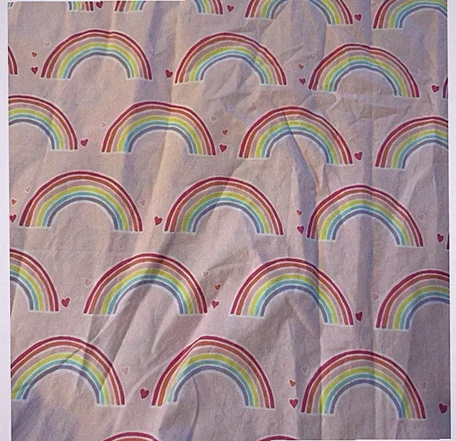 Pottery Barn Kids Pottery Barn Organic Rainbow Cloud Twin Size Duvet Cover